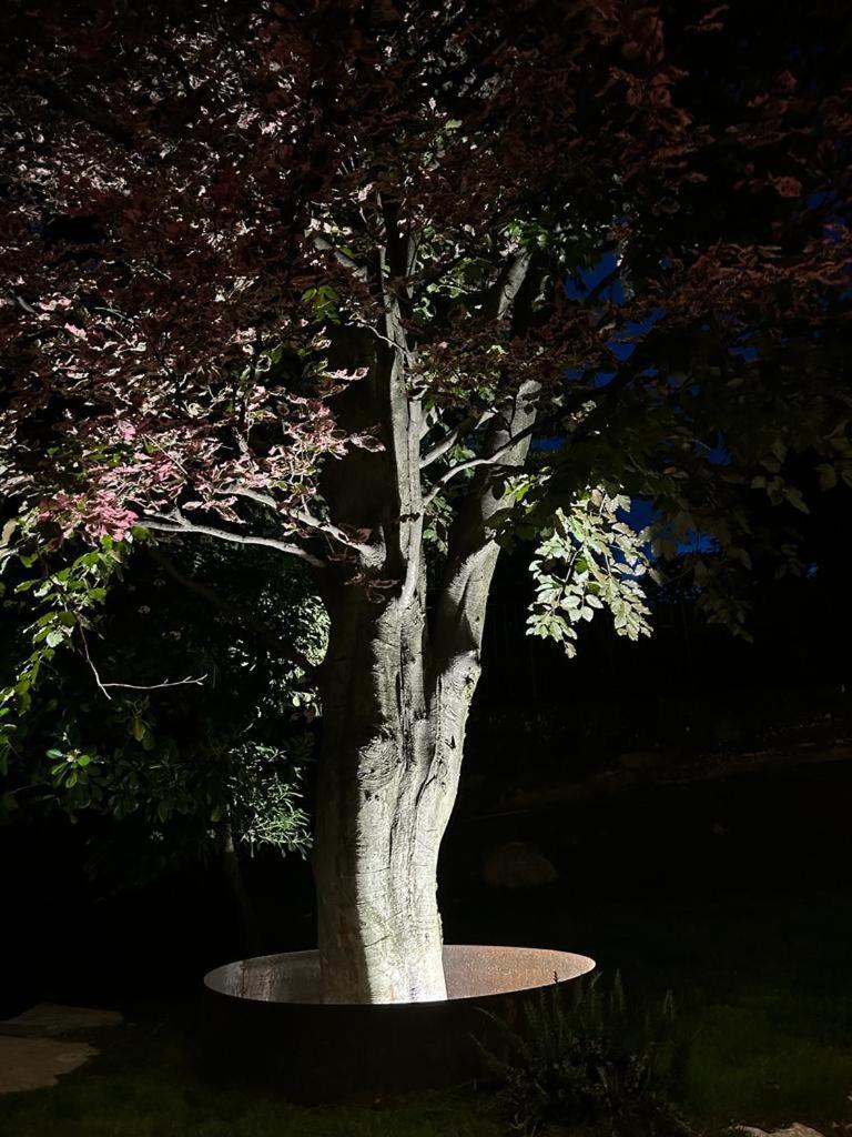I Faggi Rossi - Red Beech Trees Como Exterior foto
